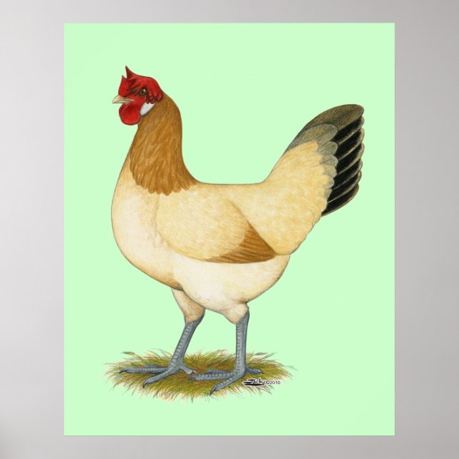 Penedesenca:  Wheaten Hen Poster (Front)