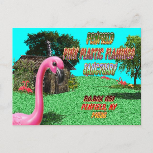 penfield pink plastic flamingo sanctuary postcard (Front)