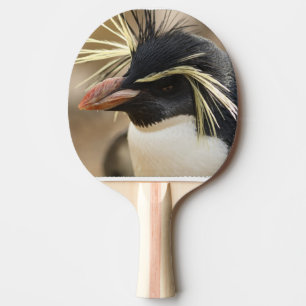 penguin-86.jpg ping pong paddle