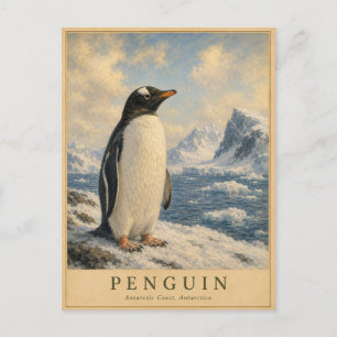 Penguin Antarctic Coast VINTAGE Postcard