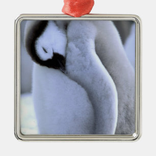 Penguin Antarctic Peninsula, Weddell Sea Metal Tree Decoration