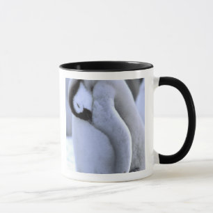 Penguin Antarctic Peninsula, Weddell Sea Mug