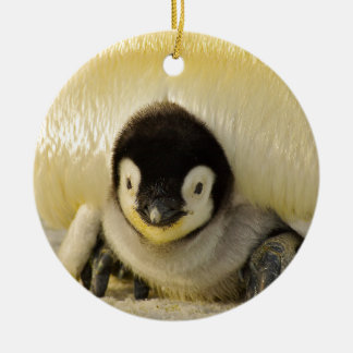 Penguin baby ceramic tree decoration