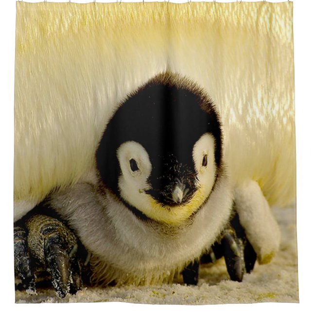 Penguin Baby Shower Curtain (Front)