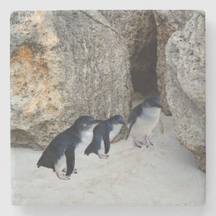 Penguin Beach House, Stone Coaster