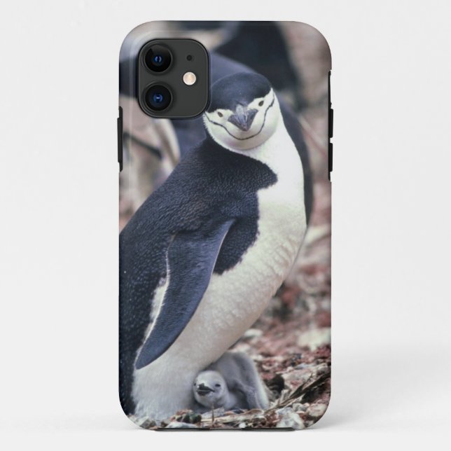 Penguin Bird Cute Animal Black White Water Case-Mate iPhone Case (Back)