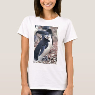 Penguin Bird Cute Animal Black White Water T-Shirt