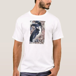 Penguin Bird Cute Animal Black White Water T-Shirt