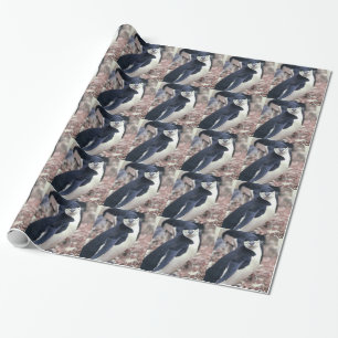 Penguin Bird Cute Animal Black White Water Wrapping Paper