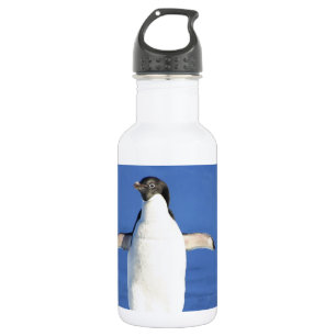 Penguin Bird Feathers Black White Personalise Name 532 Ml Water Bottle