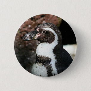 Penguin Button