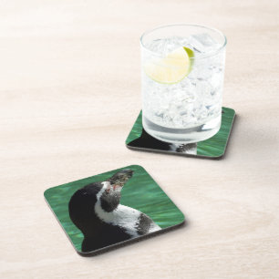 Penguin Coasters
