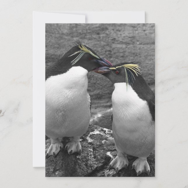 Penguin Colour Splash Invitation (Front)