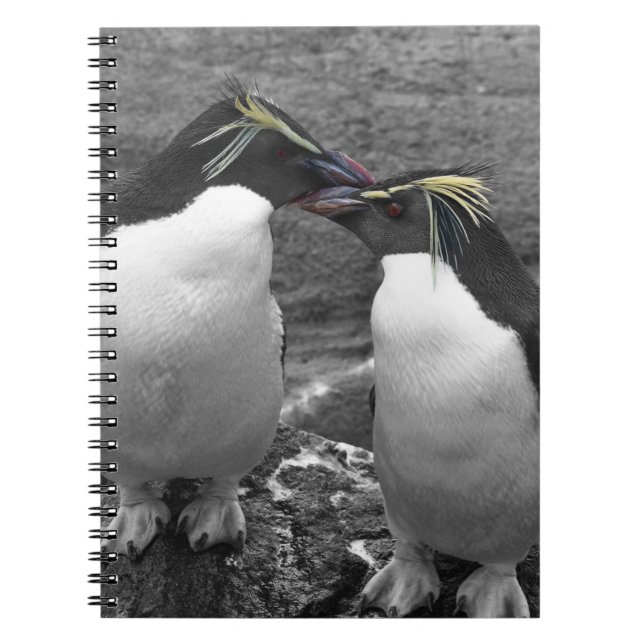 Penguin Colour Splash Notebook (Front)