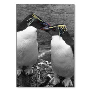 Penguin Colour Splash Table Number