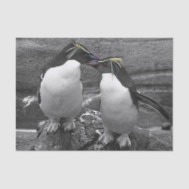 Penguin Colour Splash Tissue Paper (Front)