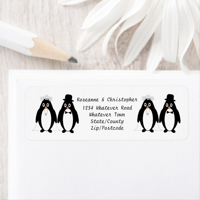 Penguin Design Wedding (Insitu)