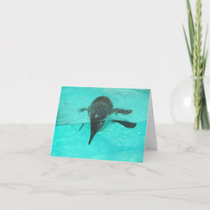 Penguin diving in blue water on a blank note card