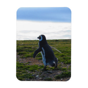 Penguin Flexible Magnet