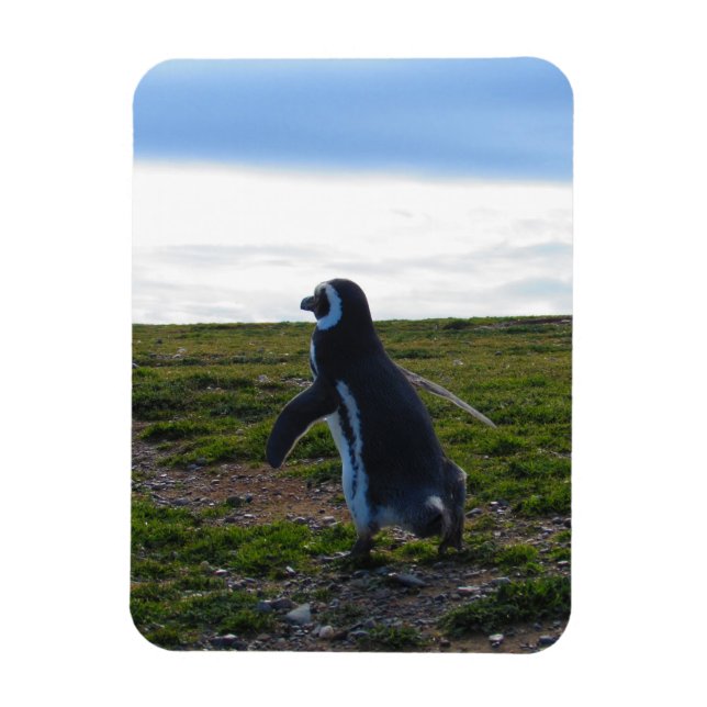 Penguin Flexible Magnet (Vertical)