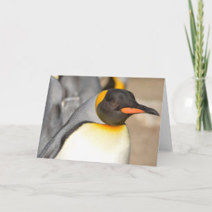 PENGUIN Folded Greeting Card