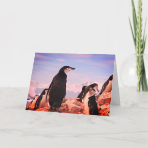 PENGUIN Folded Note Card
