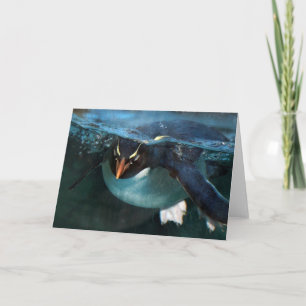 PENGUIN Folded Note Card