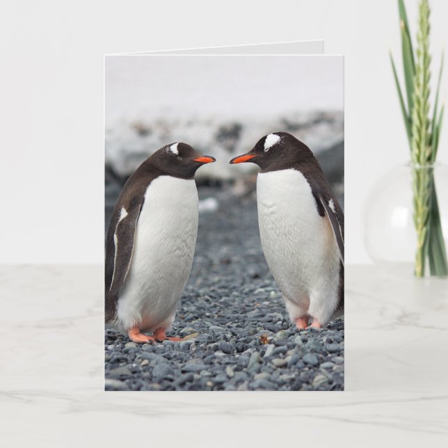 PENGUIN FRIENDSHIP FRIEND greeting card (Front)