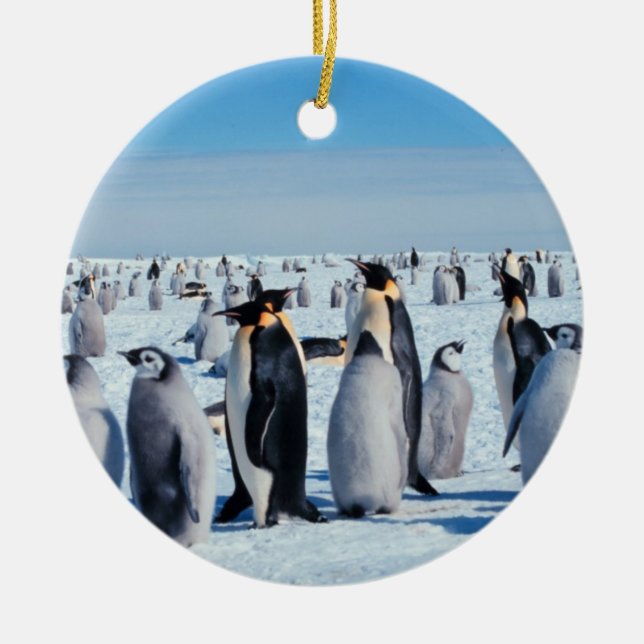 Penguin Gathering Ceramic Tree Decoration (Front)