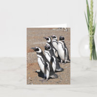 Penguin Happy Birthday Wishes