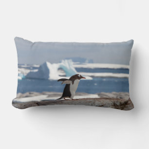 Penguin in front of an ice arch lumbar cushion