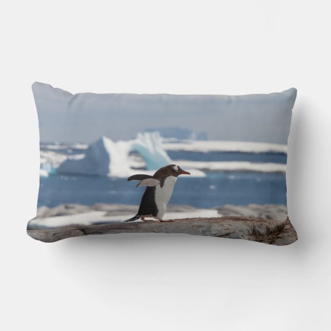 Penguin in front of an ice arch lumbar cushion (Front)