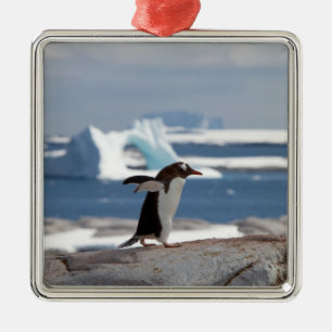 Penguin in front of an ice arch metal tree decoration