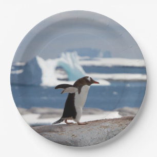 Penguin in front of an ice arch paper plate