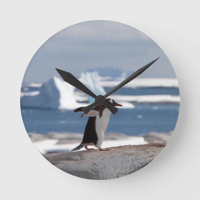 Penguin in front of an ice arch round clock (Front)