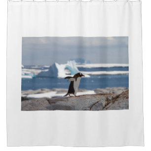 Penguin in front of an ice arch shower curtain