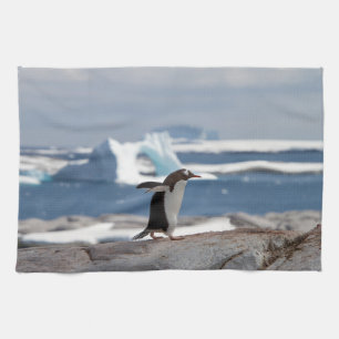 Penguin in front of an ice arch tea towel