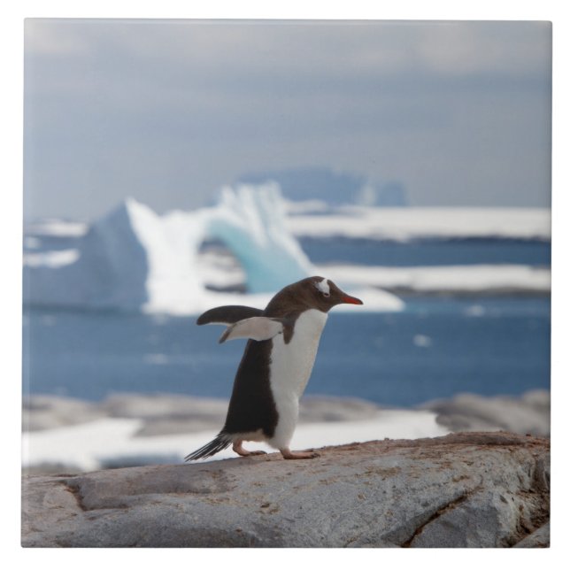 Penguin in front of an ice arch tile (Front)