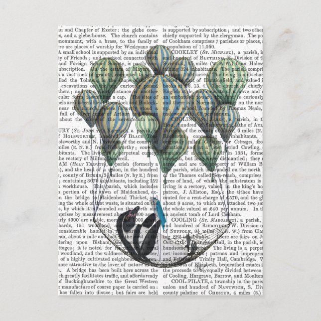 Penguin in Hammock Balloon Postcard (Front)