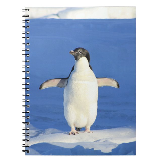 Penguin in the Snow Notebook (Front)