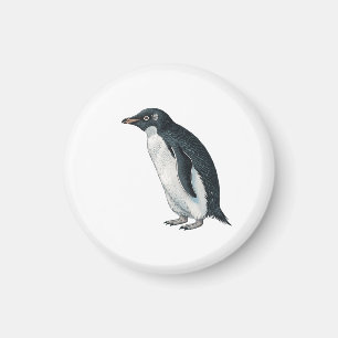 Penguin Magnet