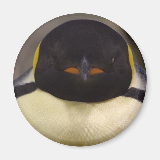 Penguin Magnet (Front)