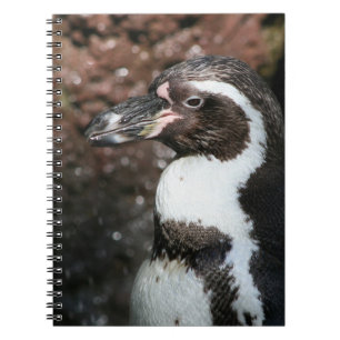 Penguin Notebook