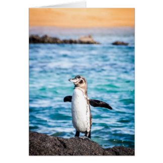 Penguin on Bartolome Island