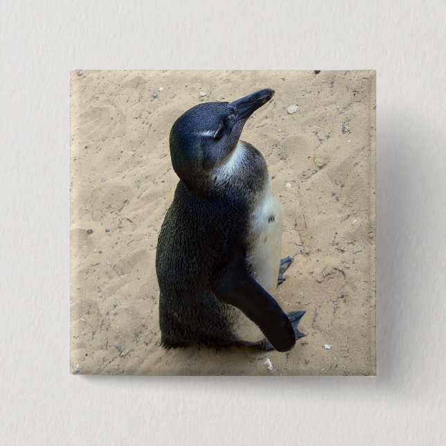 Penguin on sand 15 cm square badge (Front)