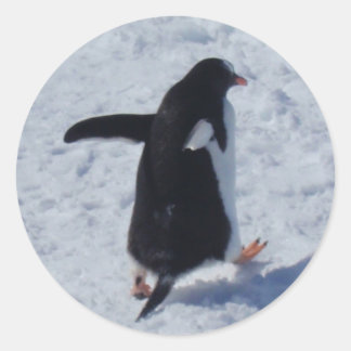 Penguin on the move Stickers Return Address Labels