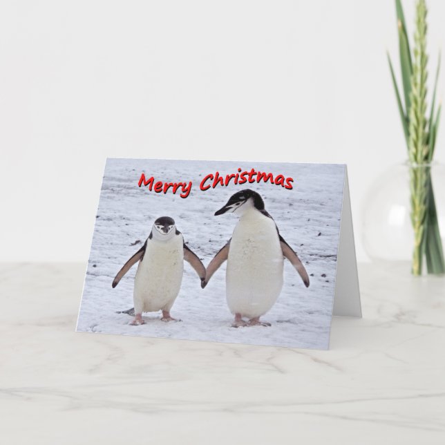 Penguin Pals Christmas Card (Front)