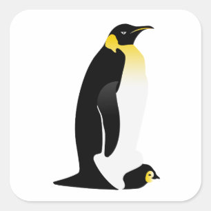 Penguin parent with his baby square sticker