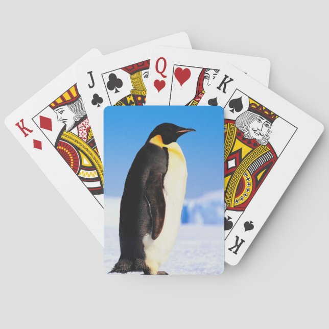 PENGUIN PLAYING CARDS (Back)