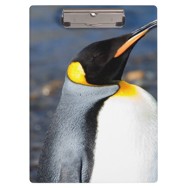 Penguin Portrait Clipboard (Front)